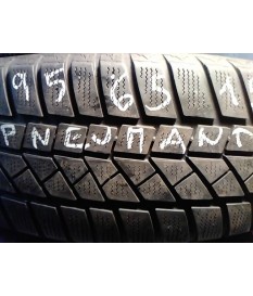 195/65 R15 91 T Pneumant PN150 Wintec - kusovka profil 4.5 mm 55%